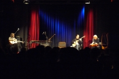 Acoustic night 7